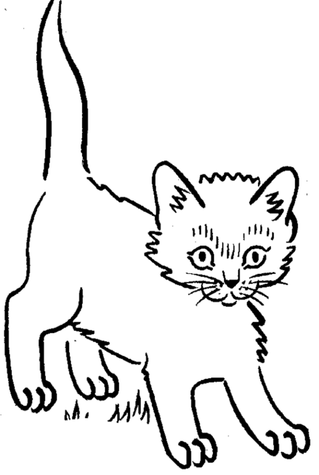 kitten-coloring-page-0046-q1