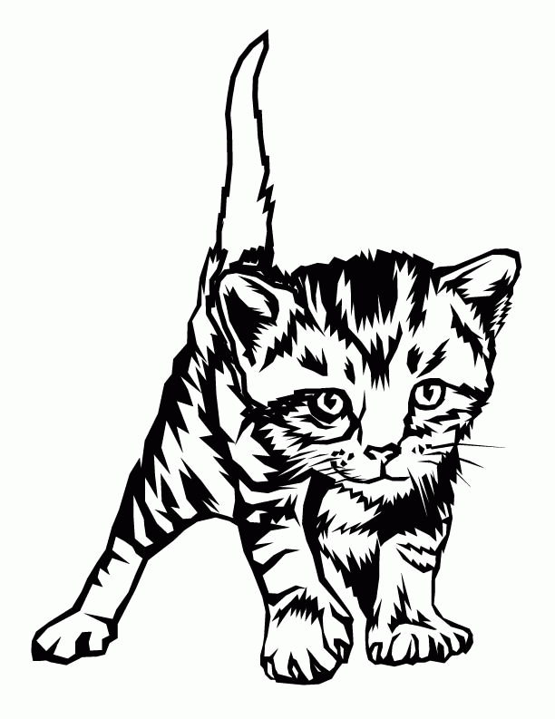 kitten-coloring-page-0047-q1