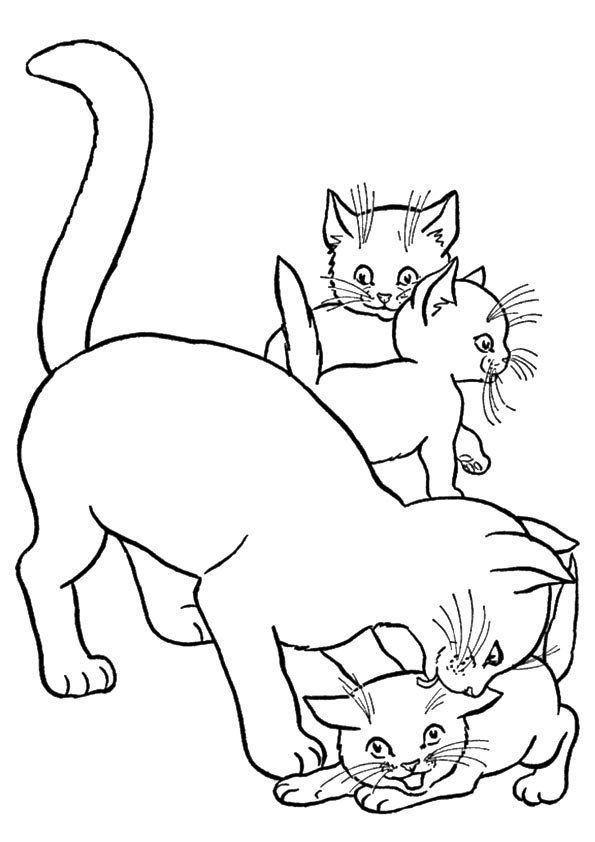 kitten-coloring-page-0052-q2