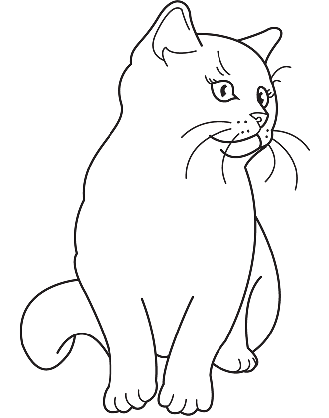 kitten-coloring-page-0069-q1