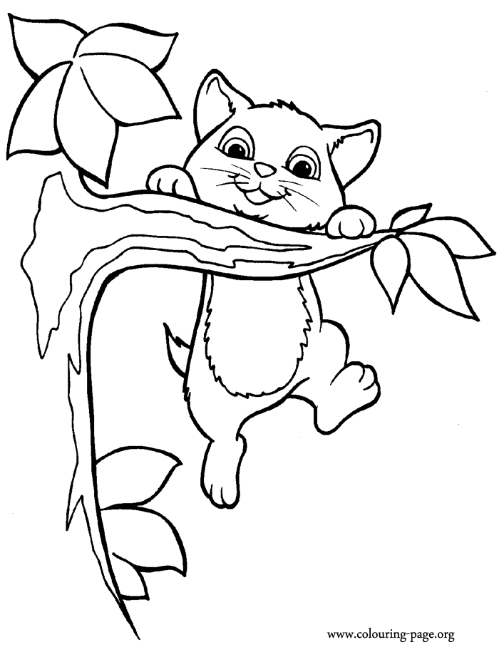 kitten-coloring-page-0077-q1