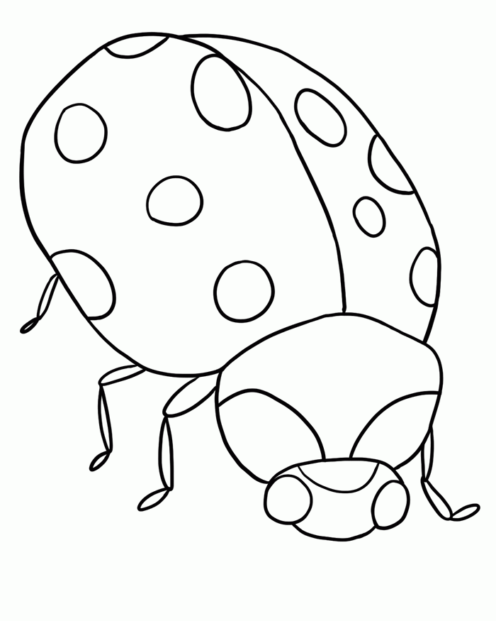 ladybug-coloring-page-0016-q1