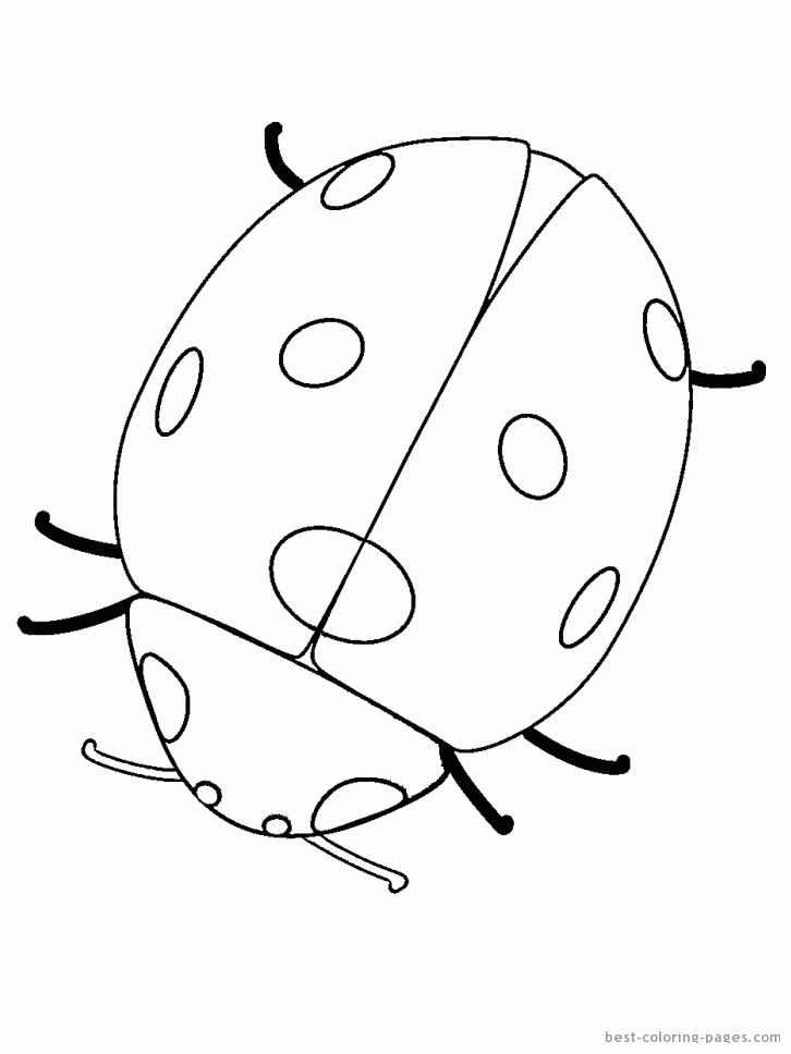 ladybug-coloring-page-0021-q1
