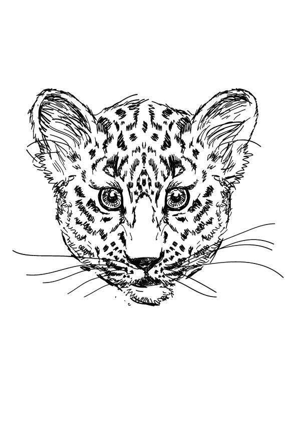 leopard-coloring-page-0007-q2