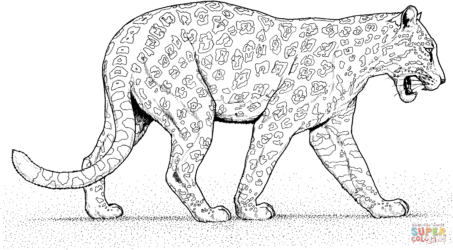 leopard-coloring-page-0044-q1