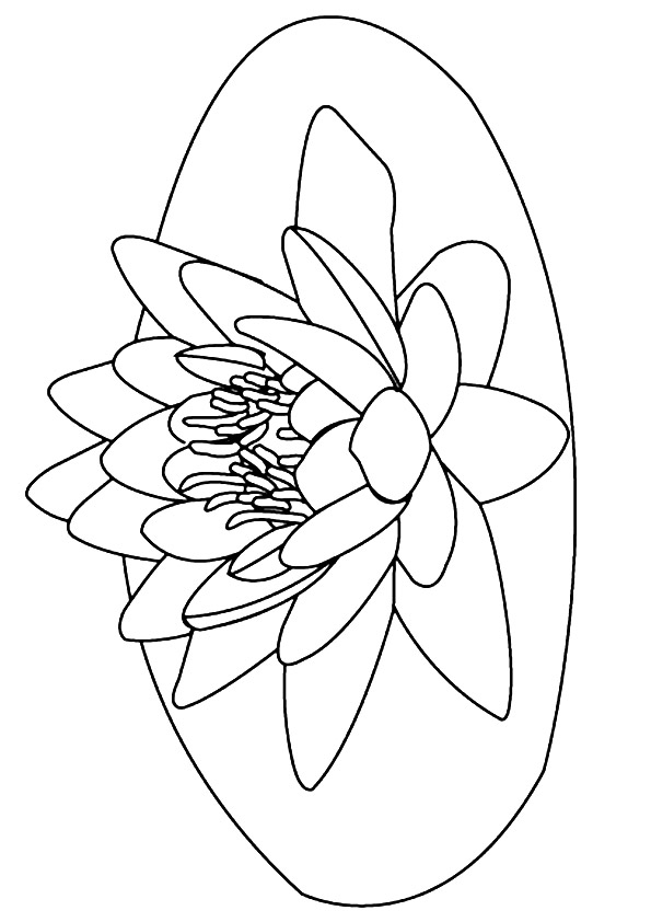 lily-coloring-page-0015-q2