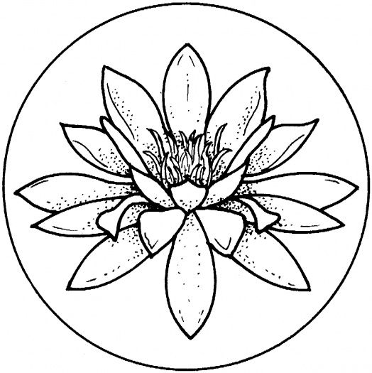 lily-coloring-page-0021-q1