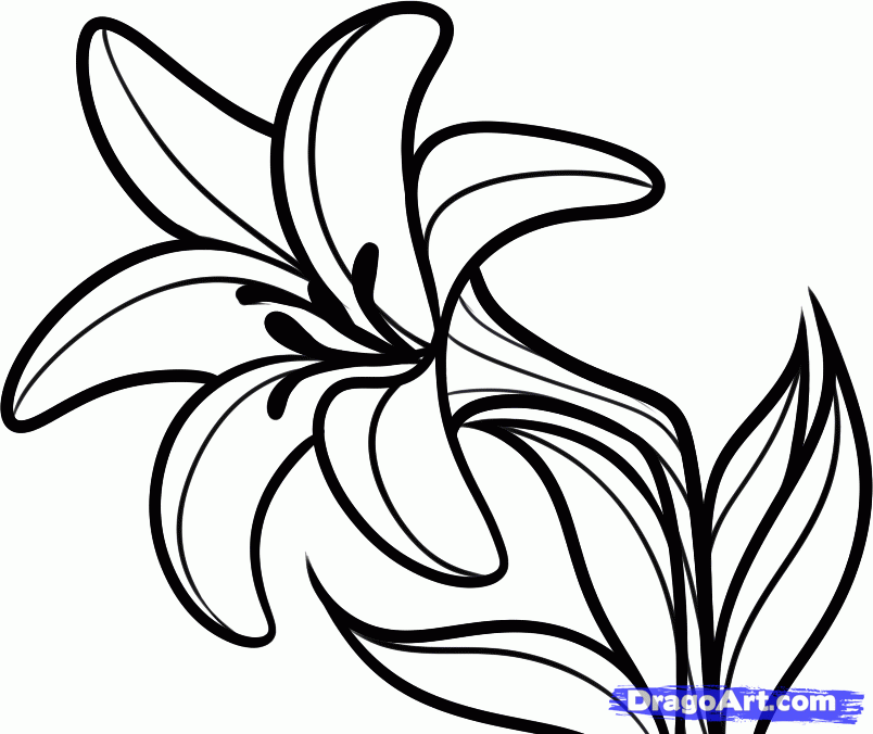 lily-coloring-page-0027-q1