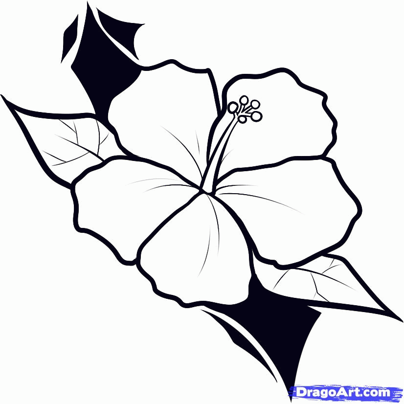 lily-coloring-page-0029-q1