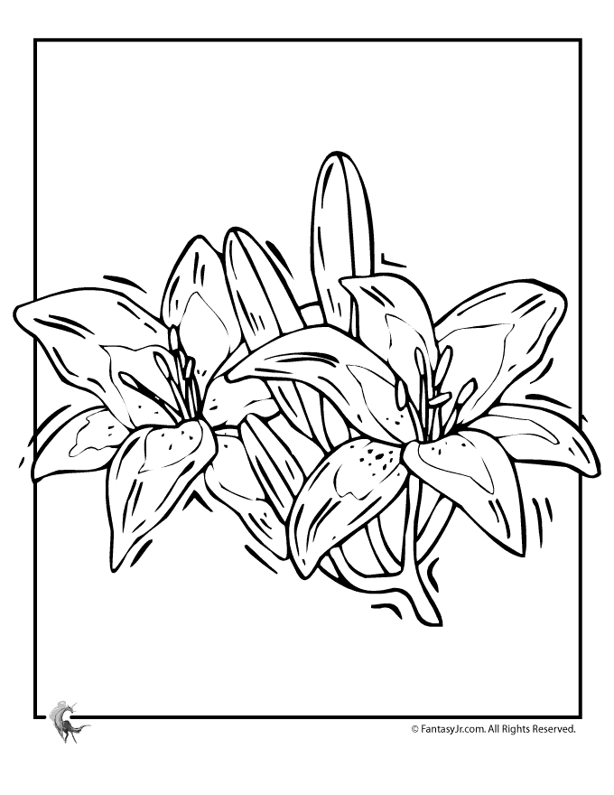 lily-coloring-page-0037-q1