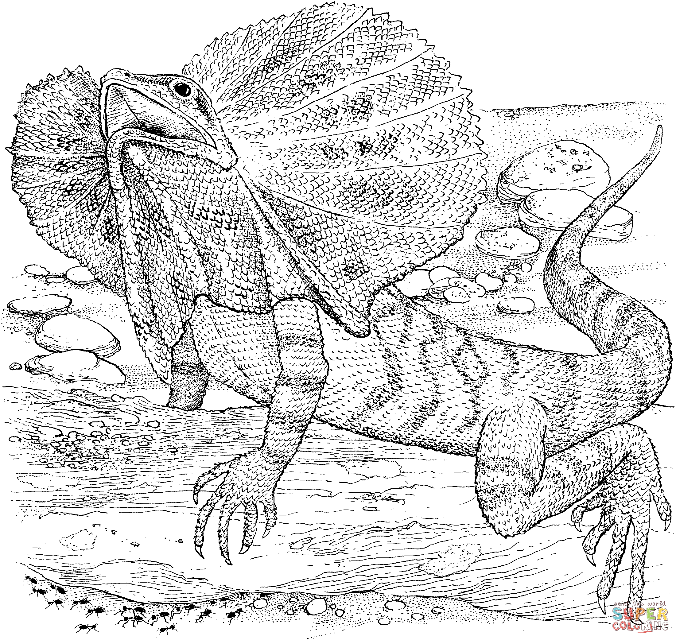 lizard-coloring-page-0001-q1