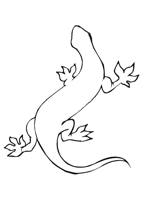 lizard-coloring-page-0028-q2