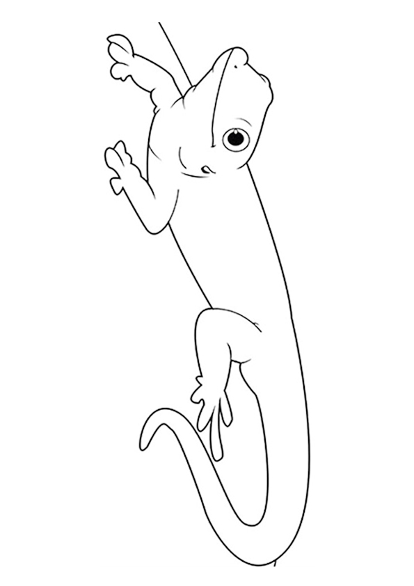lizard-coloring-page-0029-q2