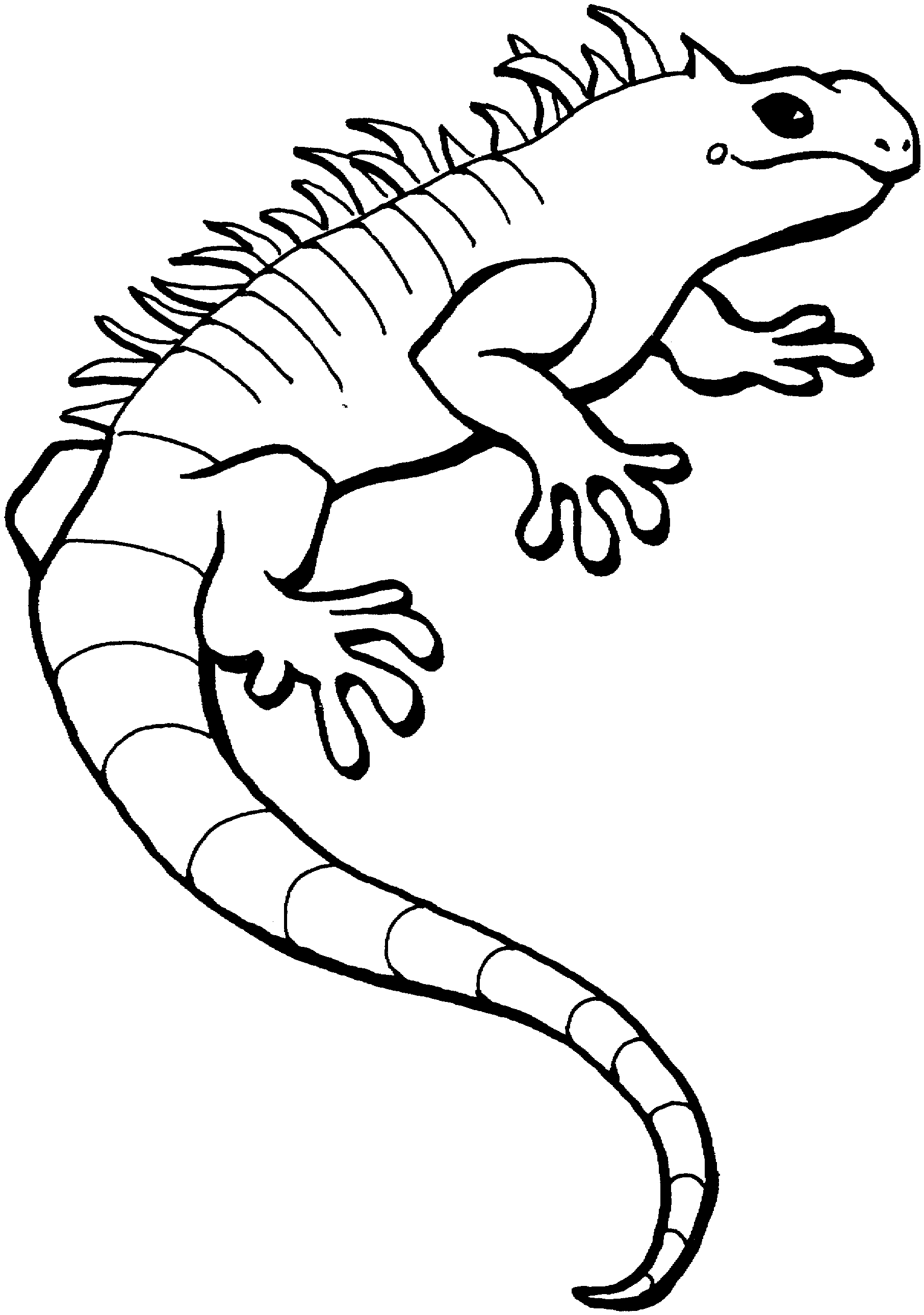 lizard-coloring-page-0034-q1
