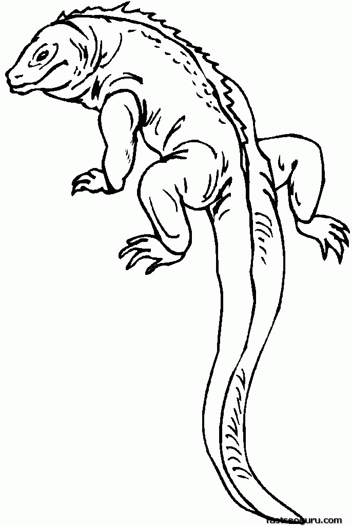 lizard-coloring-page-0040-q1