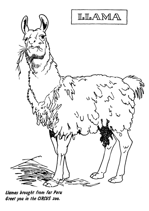 llama-coloring-page-0003-q2