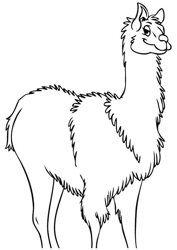 llama-coloring-page-0007-q2