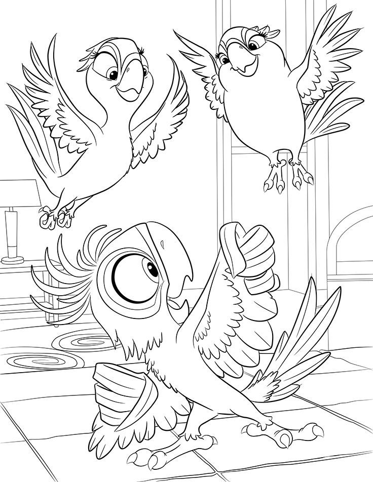 macaw-coloring-page-0002-q1