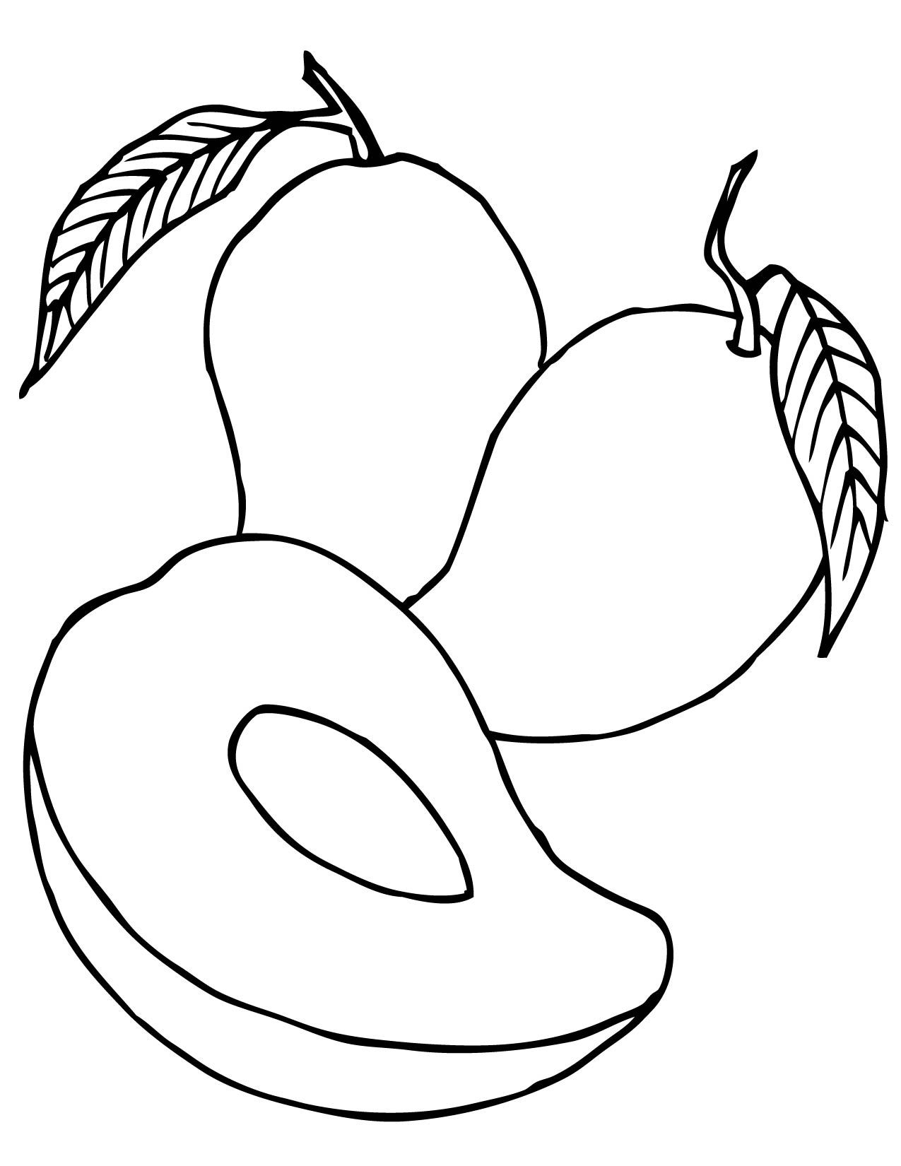 mango-coloring-page-0001-q1