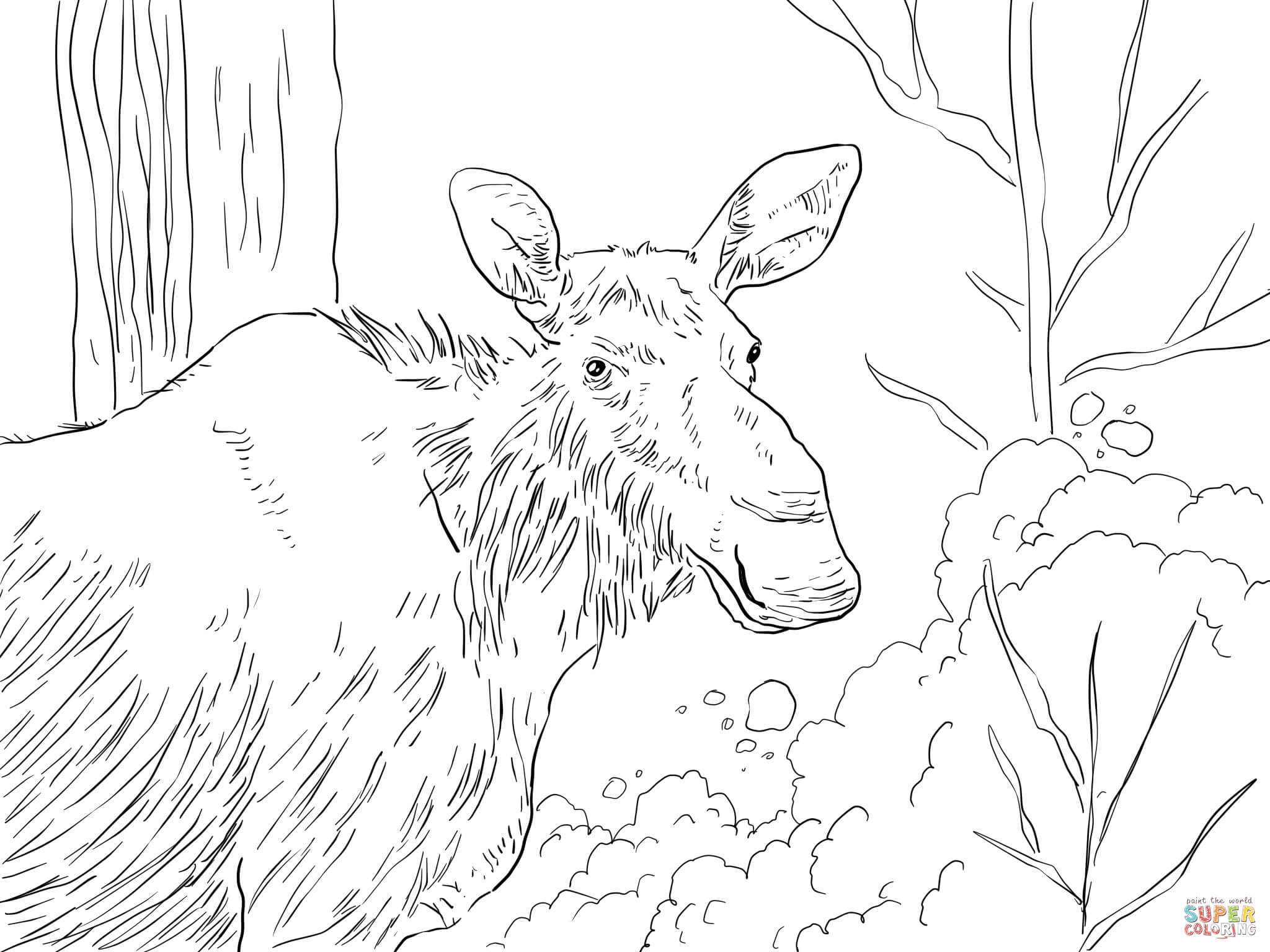 moose-coloring-page-0002-q1