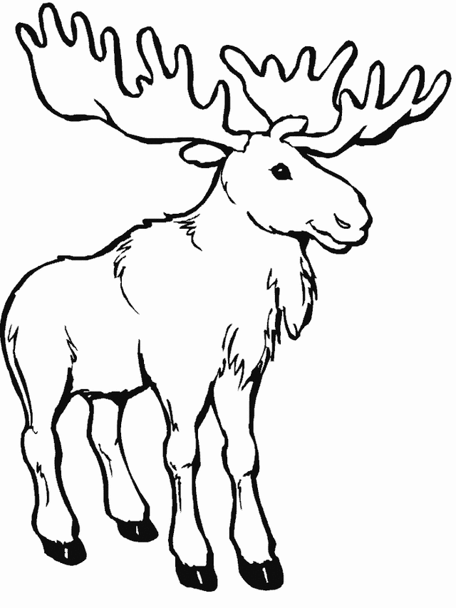 moose-coloring-page-0031-q1