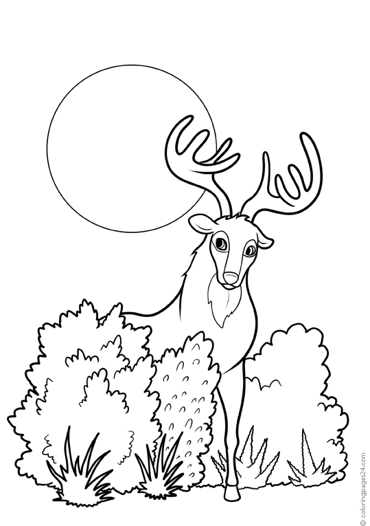 moose-coloring-page-0035-q3