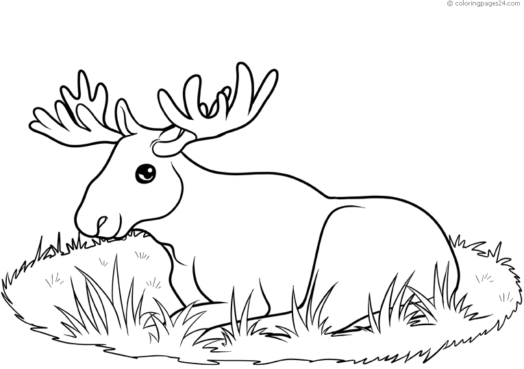 moose-coloring-page-0036-q3
