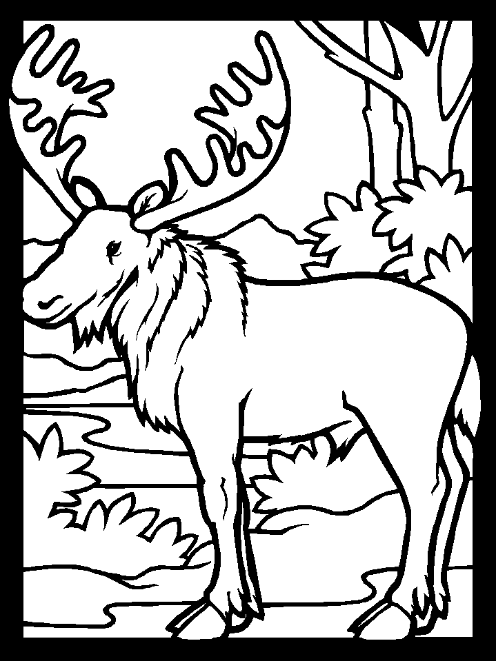 moose-coloring-page-0044-q1