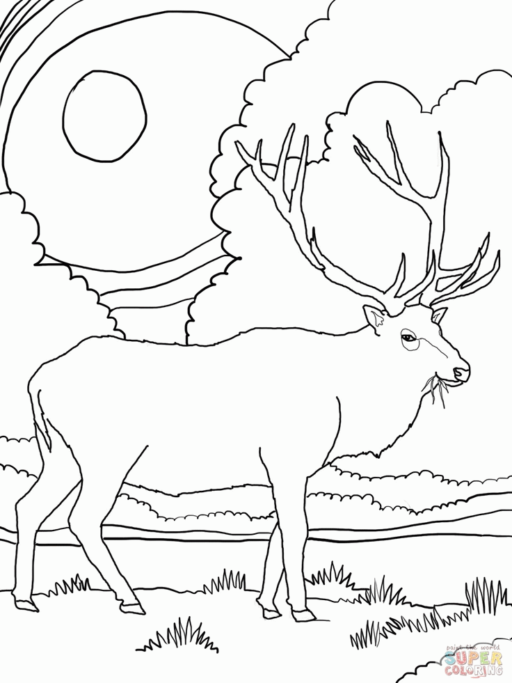 moose-coloring-page-0053-q1