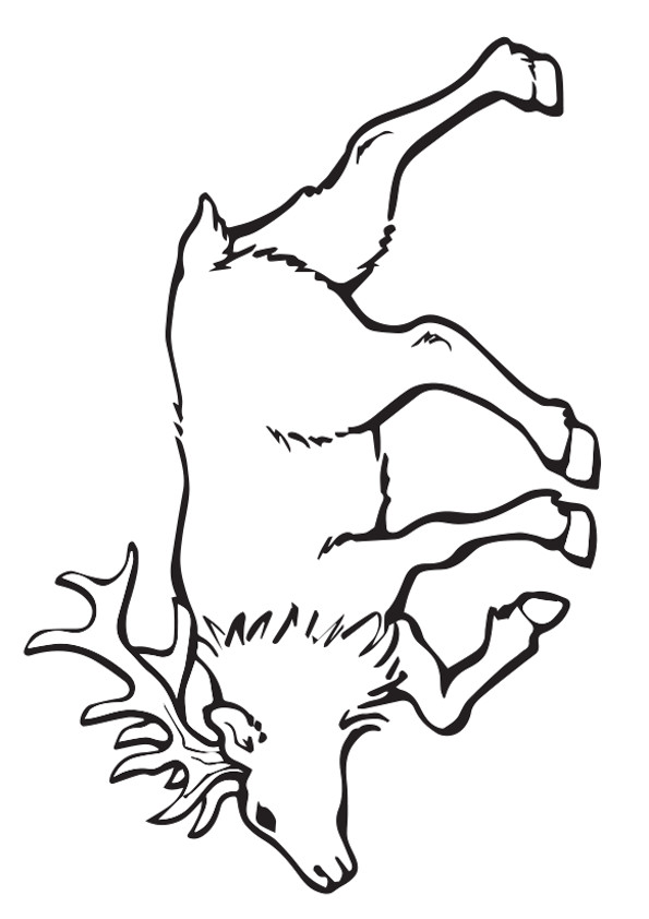 moose-coloring-page-0054-q2