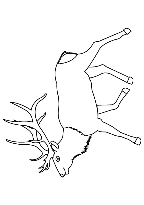 moose-coloring-page-0059-q2