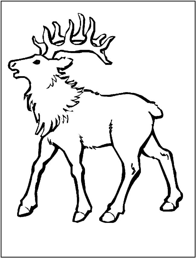 moose-coloring-page-0061-q1
