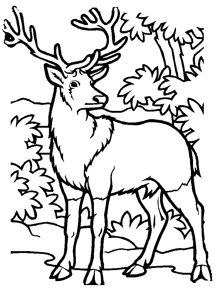 moose-coloring-page-0062-q1