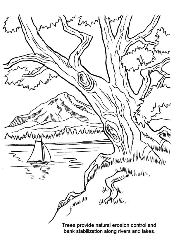 nature-coloring-page-0031-q2