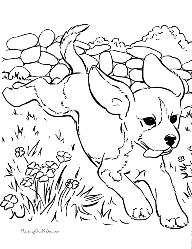 nature-coloring-page-0066-q1