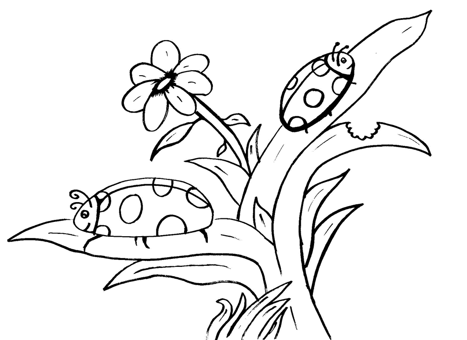 nature-coloring-page-0076-q1