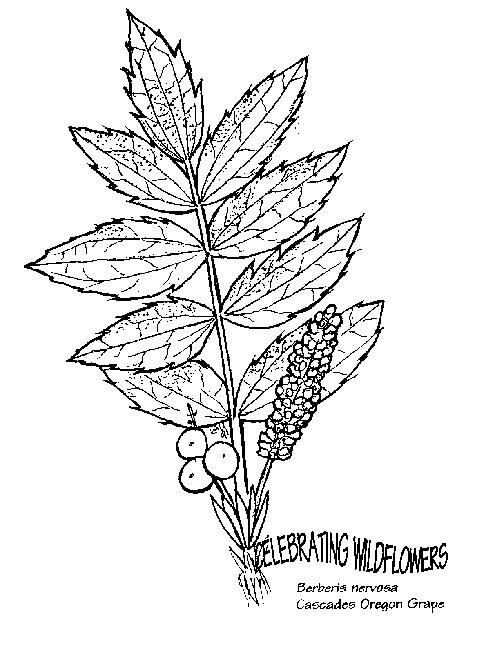 nature-coloring-page-0102-q3