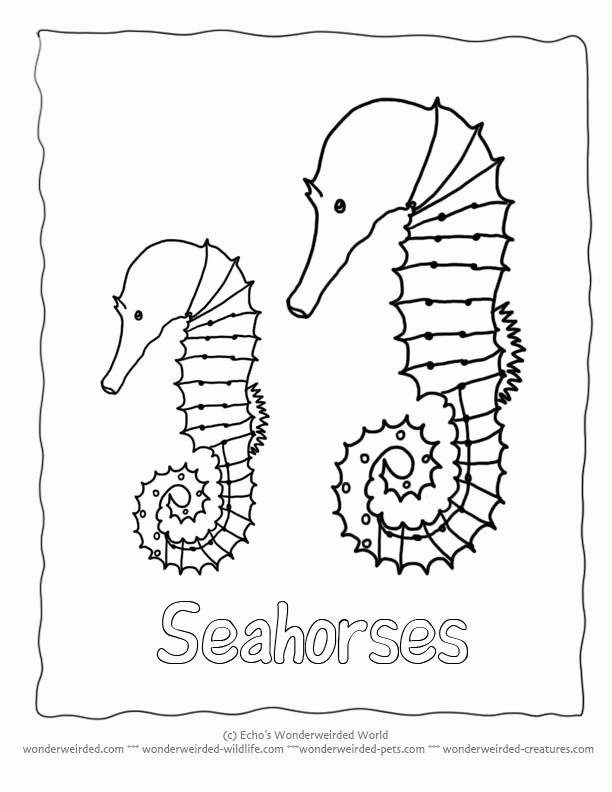 ocean-coloring-page-0035-q1