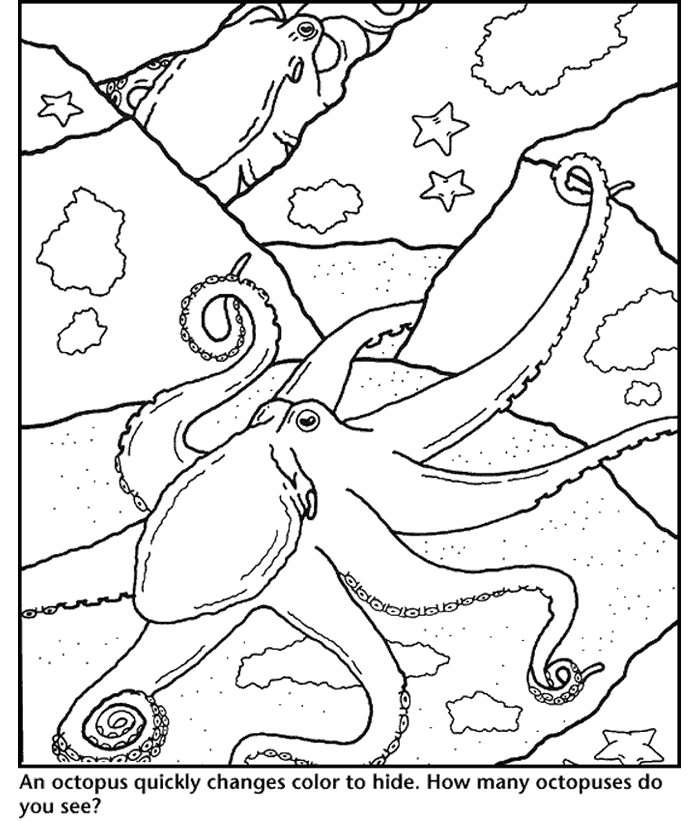 octopus-coloring-page-0034-q1