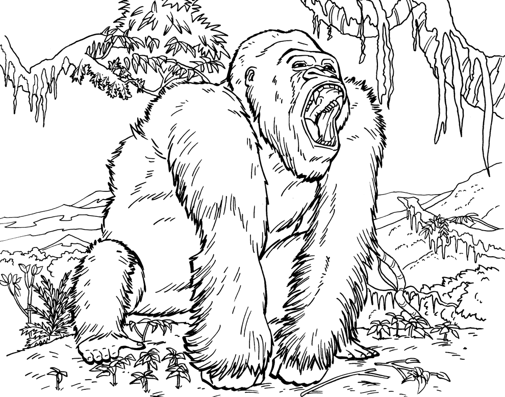 Orangutan