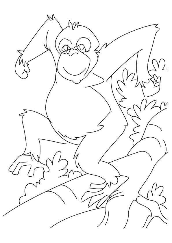 orangutan-coloring-page-0025-q2