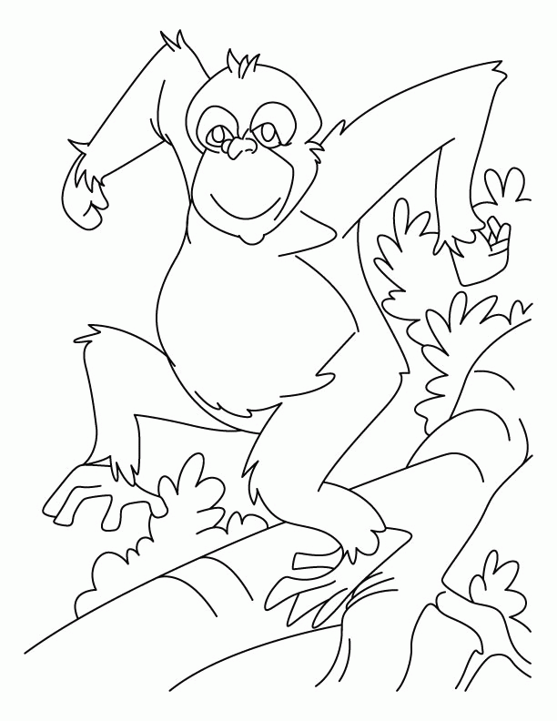 orangutan-coloring-page-0027-q1