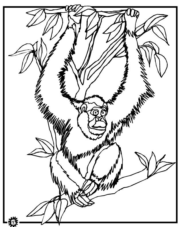 orangutan-coloring-page-0031-q1