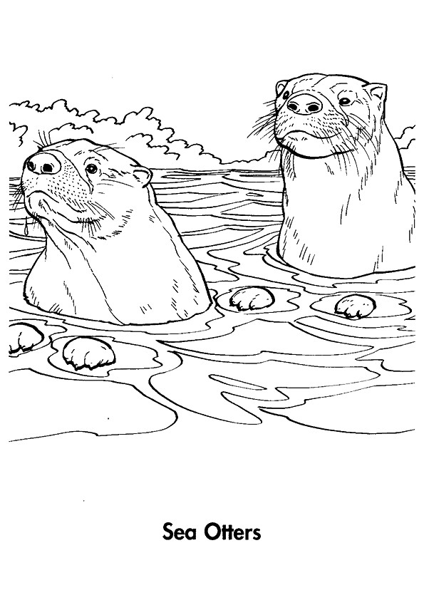 otter-coloring-page-0007-q2