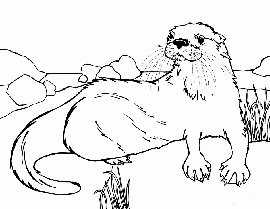 otter-coloring-page-0009-q1