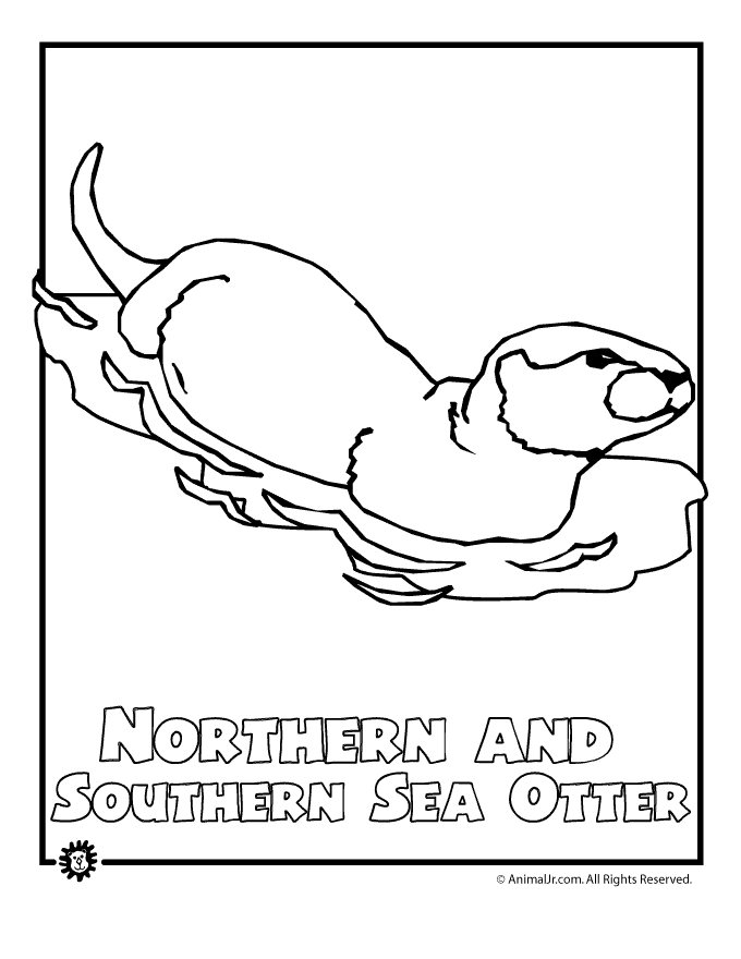 otter-coloring-page-0027-q1