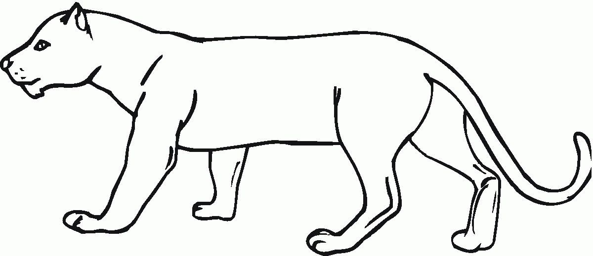 panther-coloring-page-0019-q1