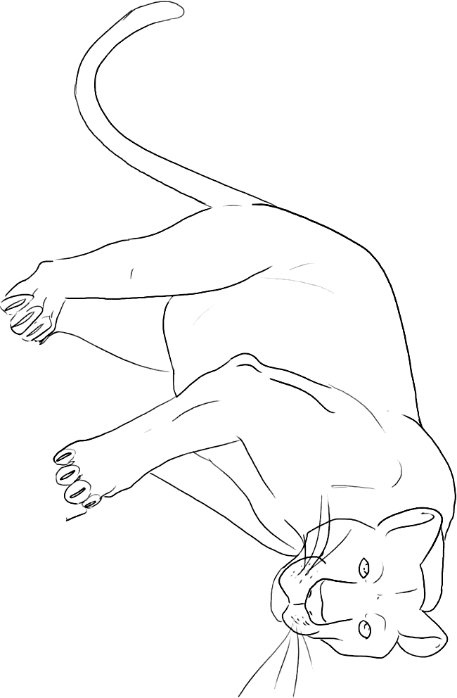 panther-coloring-page-0033-q1