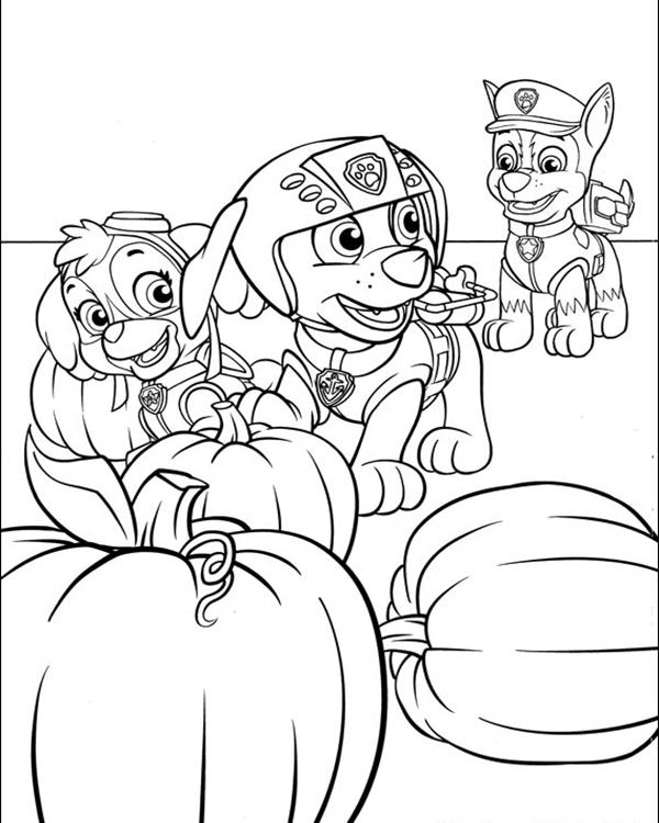 paw-patrol-coloring-page-0041-q1