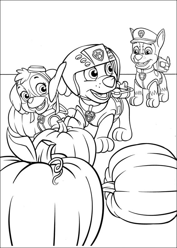paw-patrol-coloring-page-0069-q5